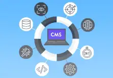 CMS integration company